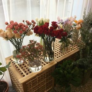 Meet your Posher, Jacqueline